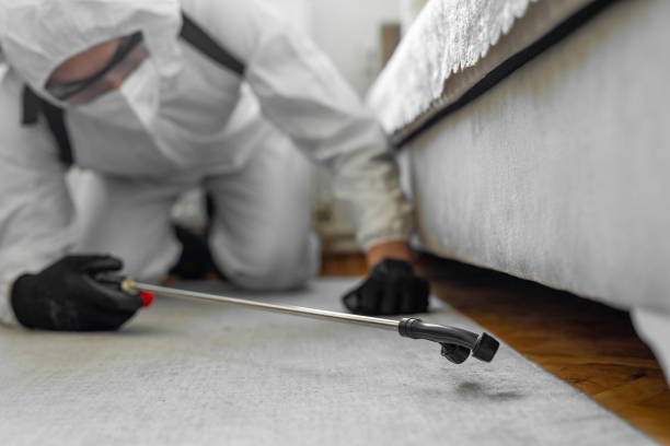 Professional Cockroach Control technician working in Boiling Spring Lakes, NC
